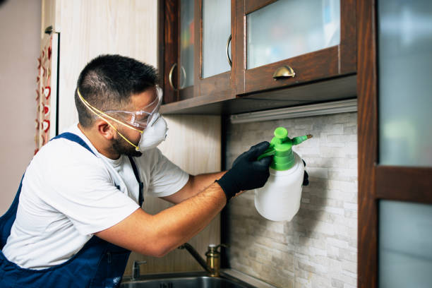 Best Bed Bug Extermination  in Clarendon, TX