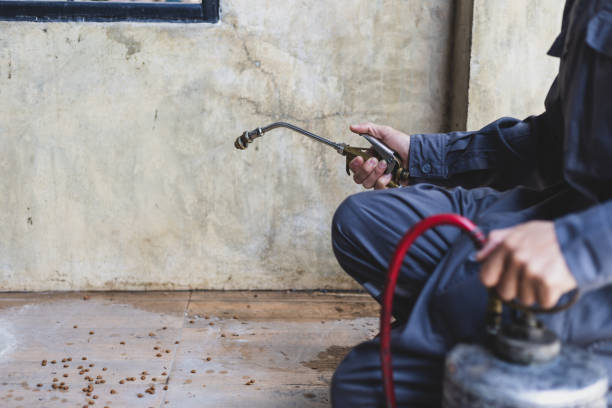 Best Best Pest Control Companies  in Clarendon, TX